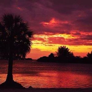 Meet your Posher, Pam